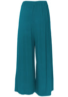 back view elasticated back of waistband pant