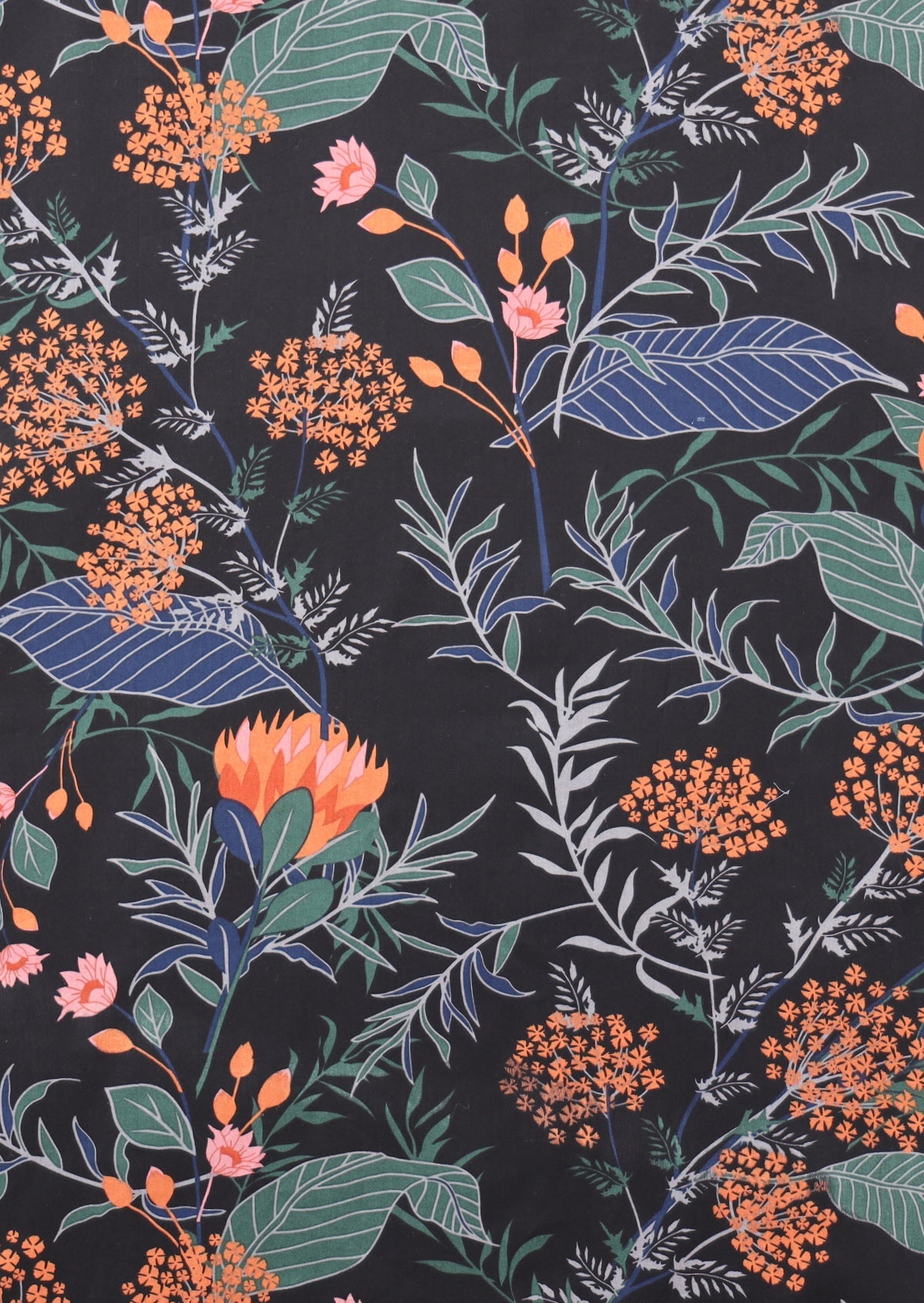 Queen Protea Print Collection - Cotton Moody Botanical Print with Black Base