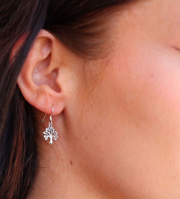 Silver Earrings