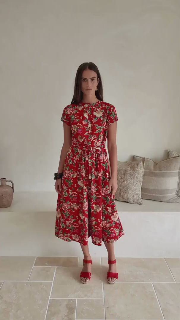 Vivien Dress Mistlerose video